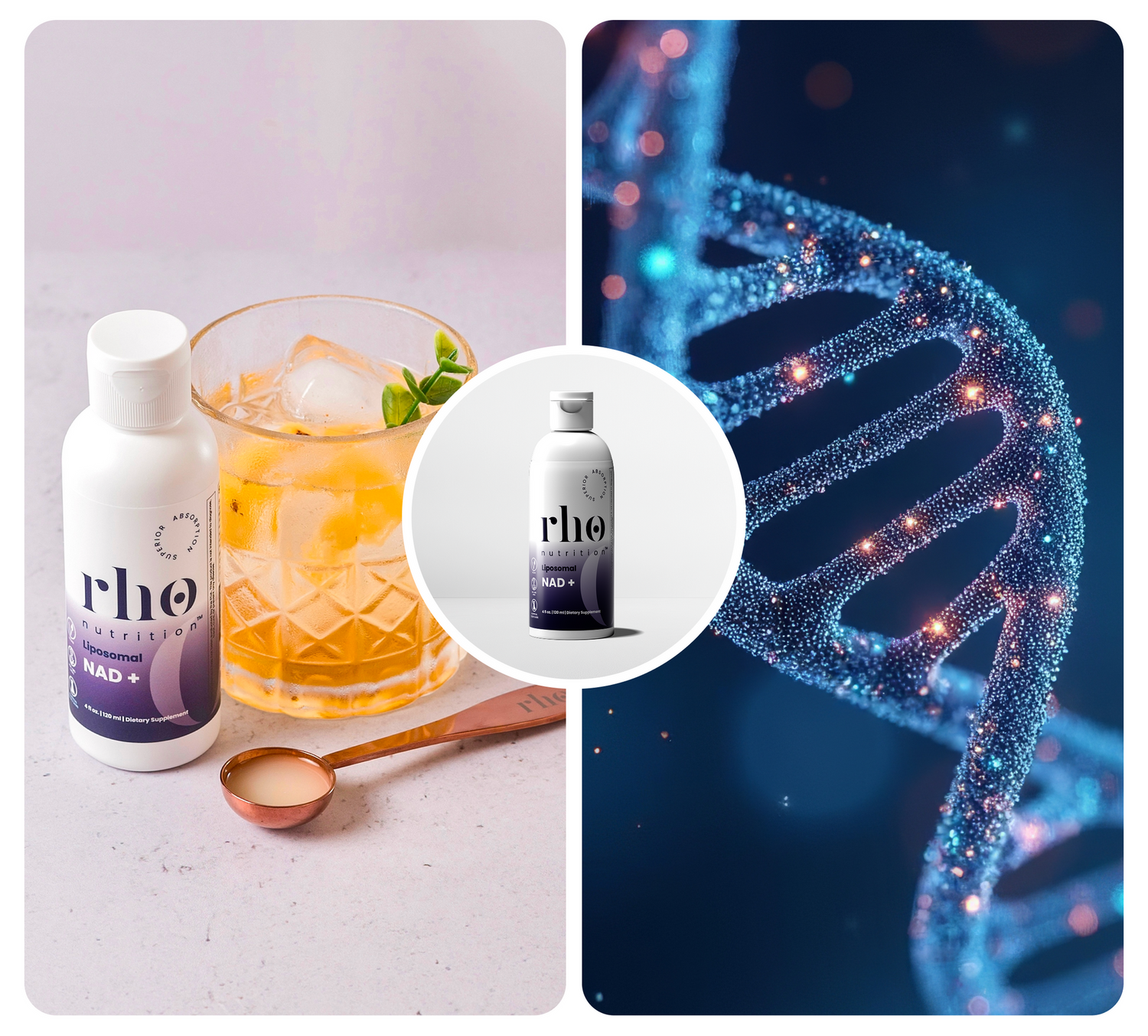 rho liposomal glutathione product page Amazon.com: Rho Nutrition Glutatión liposomal: suplemento líquido de  glutatión de ultra alta absorción, apoya la desintoxicación natural, el  sistema inmunológico, la salud de la piel, la claridad mental y el  bienestar general :